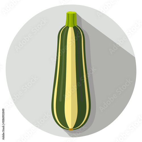 Simple flat 2D icon zucchini isolated on a transparent background, vector, flat , animation design, vector, flat design, animation design, simple flat 2D icon, minimalist 