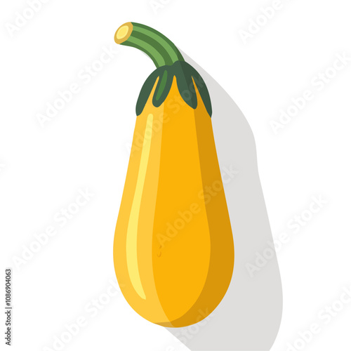 Simple flat 2D illustration of zucchini isolated on a white background, vector, flat design, 2d