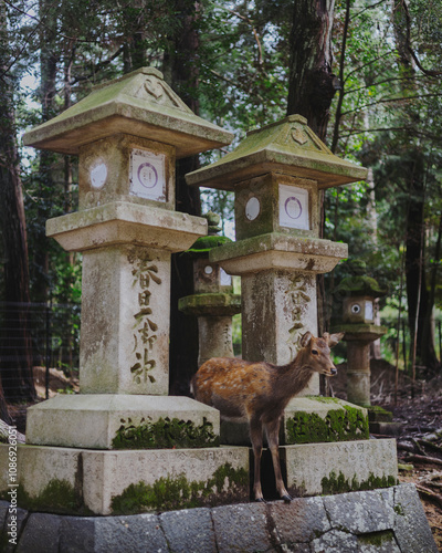 A deer strolling through Nara, Japan, symbolizing harmony with nature and the city’s spiritual charm.