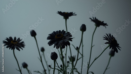 melancholy black flowers still life elegy