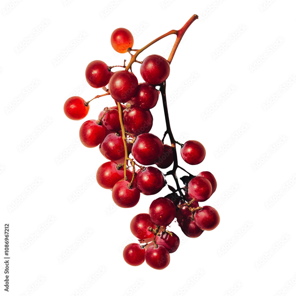 Fresh red grapes on a transparent background Fresh red grapes on a transparent background