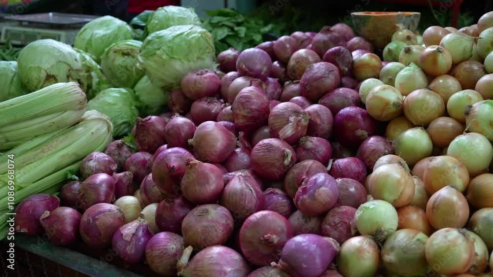 White, Red and Welsh Onions at Market. Close Up White, Red and Welsh Onions at Market. Close Up
