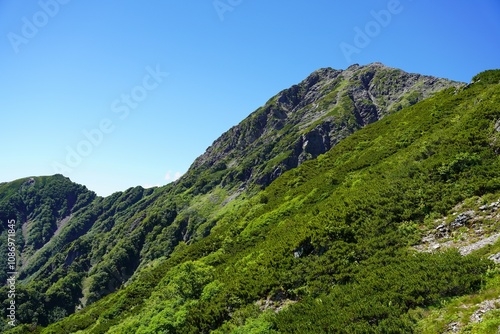 南アルプス 夏の北岳