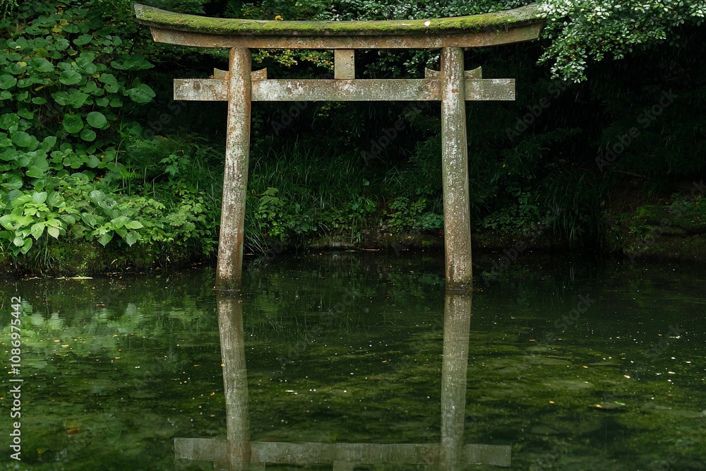 Serene Reflection of a Torii Gate in Tranquil Waters Serene Reflection of a Torii Gate in Tranquil Waters