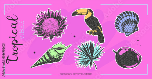 Tropical photocopy of flowers, toucan, and shells.