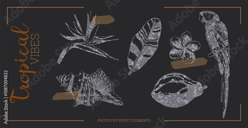 Tropical flowers and elements vector illustration