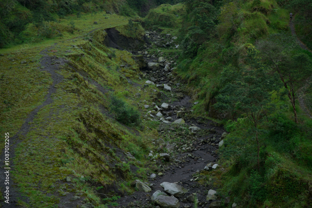 expanse of mountains with beautiful green trees expanse of mountains with beautiful green trees
