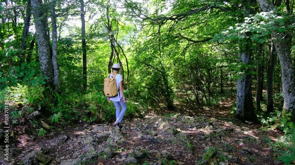 Woman hiking with backpack through a lush forest, enjoying the natural surroundings at summer sunny day. She walks along a wooded trail, immersing herself in the beauty of nature and adventure. Woman hiking with backpack through a lush forest, enjoying the natural surroundings at summer sunny day. She walks along a wooded trail, immersing herself in the beauty of nature and adventure.