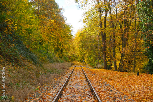 Picturesque landscape of railroad tracks stretching into the distance into autumn forest. Trees in vibrant shades of red, orange and yellow foliage create a stunning natural autumn blurred background.