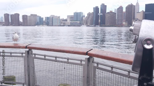 New York City waterfront skyline, Manhattan Midtown buildings, riverfront skyscrapers by East river. Waterside cityscape, seagull, tower viewer on Gantry Plaza pier, Long Island, Queens, United States