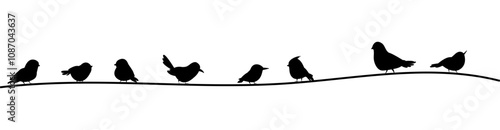 Black birds silhouettes sitting on rope or voltage line. Isolated wall sticker template with bird. Tiny flying forest characters, vector background
