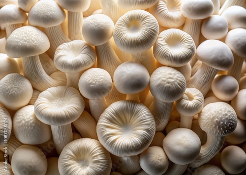 Top View of Raw White Mushrooms in an Aesthetic Arrangement for Culinary and Natural Backgrounds, Ideal for Food Photography and Kitchen Decor, Emphasizing Texture and Organic Appeal