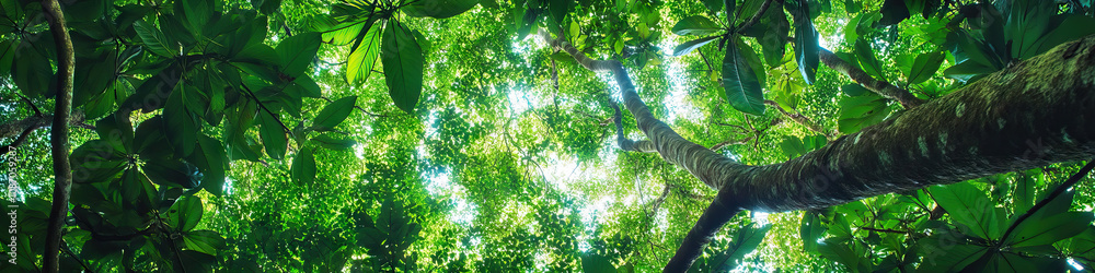Fototapeta premium A breathtaking panoramic view of a rainforest canopy, with a dazzling array of green leaves stretching out as far as the eye can see.