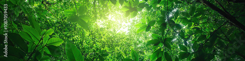 A breathtaking panoramic view of a rainforest canopy, with a dazzling array of green leaves stretching out as far as the eye can see. photo