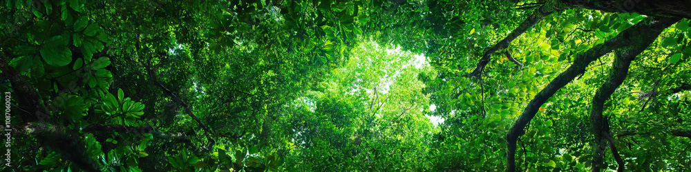 A breathtaking panoramic view of a rainforest canopy, with a dazzling array of green leaves stretching out as far as the eye can see. A breathtaking panoramic view of a rainforest canopy, with a dazzling array of green leaves stretching out as far as the eye can see.