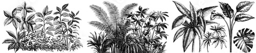 Set of forest trees. Green plants, natural botanical floral elements. Fir conifers and leaf vegetations in modern simple style. Abstract flat illustrations isolated on white.