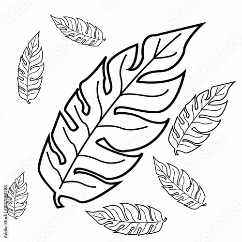 leaves with transparent background 