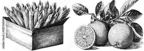 In this simple flat illustration, we see french fries in a paper container.