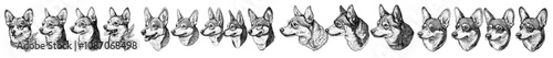 An isolated monochrome illustration of a Pembroke Welsh Corgi dog with a clean dark outline. The image has a side view as well as a front view. The animal is focused on the viewer on an isolated