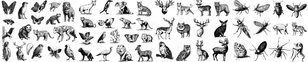 Naklejka premium Apps, Websites Ui Designs For Jungle, Lion, Zoo, Animal, Wildlife Set Modern Flat Line Symbols