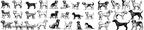 A Big Set Of Modern Dog Avatar Ui Designs For Apps, Websites, Animals, Pets, Avatars, Faces, Dogs, with Linear Pictograms.