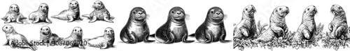 Children mascots, underwater mammals funny characters. Sea ocean animals today modern clipart. Baby arctic seals eat read play.