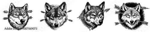 Design your own wolf's head. Modern illustration, isolated objects in a colourful mix.