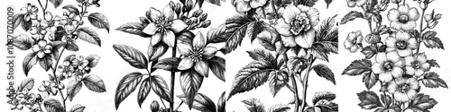 The design consists of a modern floral seamless pattern with a hand drawn flower in Toile de Jouy style. The retro elegance repeat pattern is perfect for fabric, wallpaper, or wrapping paper.