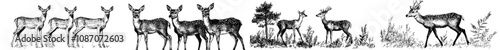 Wild deer silhouettes isolated on a white background. Modern illustration.