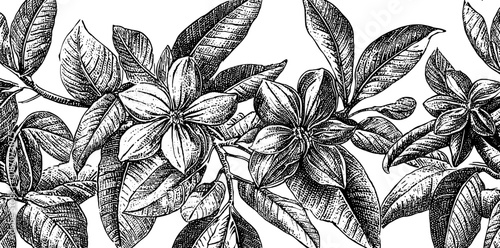 Hand-drawn exotic flowers, seamless patterns with florals for fabric, textiles, clothing, wrapping paper, covers, banners, home decor, abstract backgrounds.