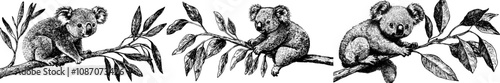A cute watercolor illustration of a kawaii koala.