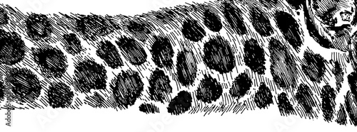 Leopard skin seamless pattern with holographic effect. Retro fashion style. Animal skin texture.