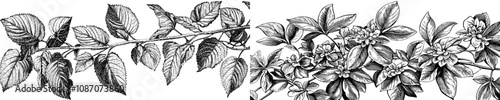 Banner with tropical plants for decoration, print, wallpaper, textile, interior design, packaging, or anything you want to use it for.