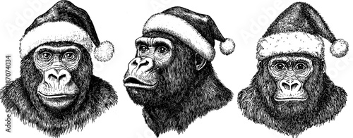 Black and white hand drawn image of isolated chimpanzee set dressed in Santa's costume. Monkey background primate silhouette.