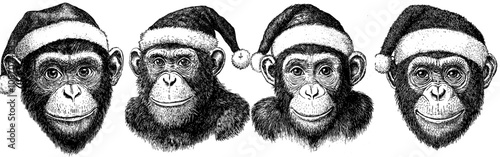 The isolated illustration is a black and white hand drawn illustration of a dressed chimpanzee in his Santa costume. The monkey background is a primate silhouette with a new year's hat on top.