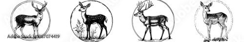 Modern logo template with deer wild animal illustration
