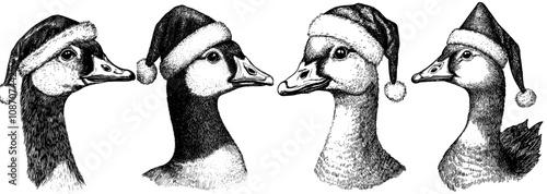 A vintage engraving of a duck set in a Christmas costume with a goose hat. A sketch of a santa costume sketched in ink on a farm bird background.