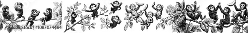 Animated monkey. Exotic monkeys with different poses and emotions. Wild tropical primates in isolation. Rainforest animal set today.