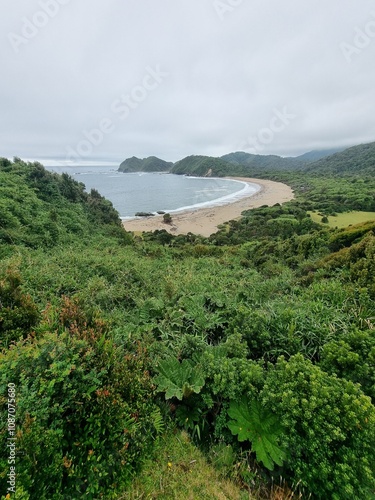 cole cole playa Chiloe