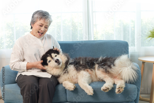 Happy Asian elderly woman sits on sofa couch plays with Siberian Husky dog and enjoying retirement in living room. Cheerful mature senior woman spending time together with her pet dog on sofa at home. photo