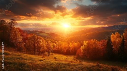 Golden Sunset over Autumn Forest