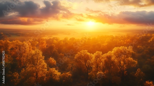 Golden Sunset over Autumn Forest