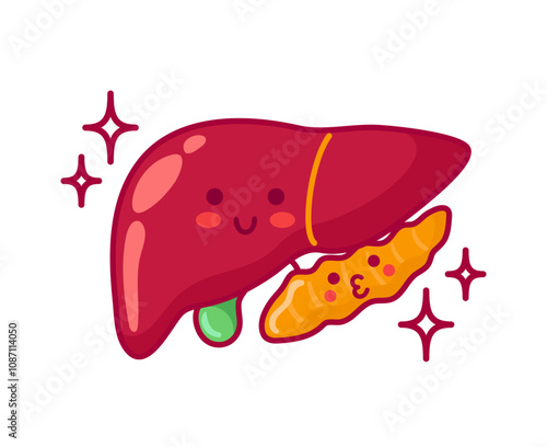 Liver, gall bladder and pancreas. Cute cartoon characters in kawaii style. Healthy organs, digestive system. Vector illustration, flat style. For sticker, books, design. Medical brochure template.