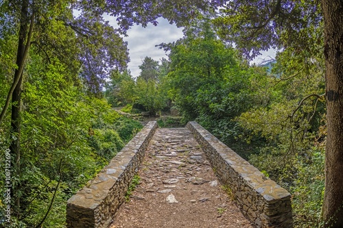 Historic stone bridge Pont du Bucatoghju in Corsica surrounded by lush greenery and natural beauty