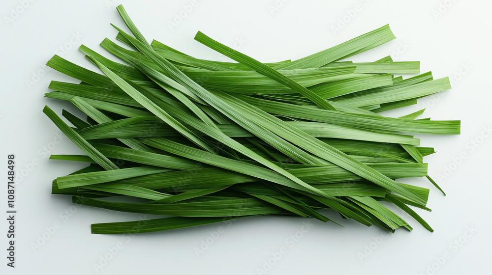 Fototapeta premium A neatly arranged stack of long, fresh green pandan leaves displayed on a plain light background.