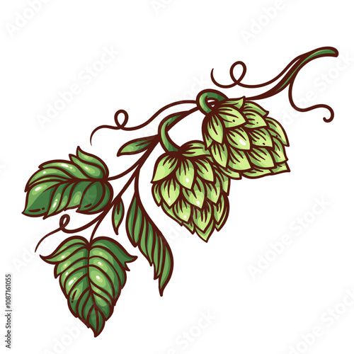 Green hop branch line icon. Outline hand drawn sketch of fresh plant with natural buds and leaf, vintage element and ingredient to brew beer. Brewery mascot, hop harvest color icon vector illustration