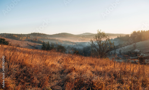 Illuminated by sunlight. Majestic view of Carpathian mountains, autumn season