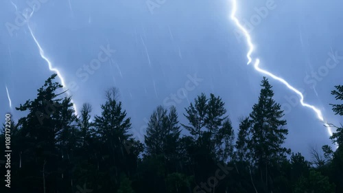 Dramatic zoom video of a dark forest with lightning striking a tree. Heavy rain and storm lighting create a misty atmosphere.