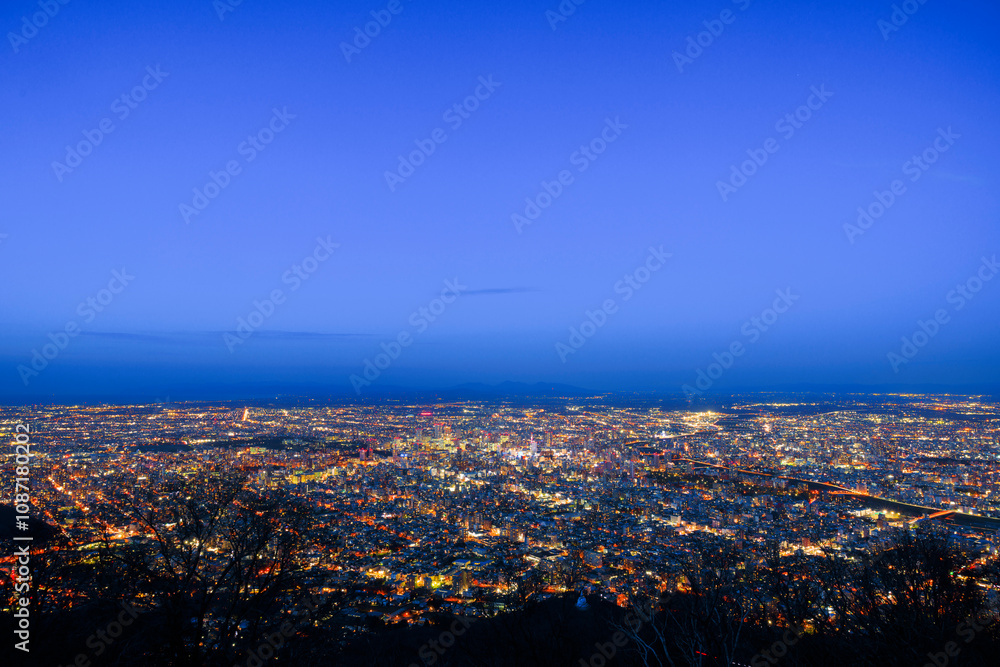 Obraz premium 藻岩山展望台から見る札幌