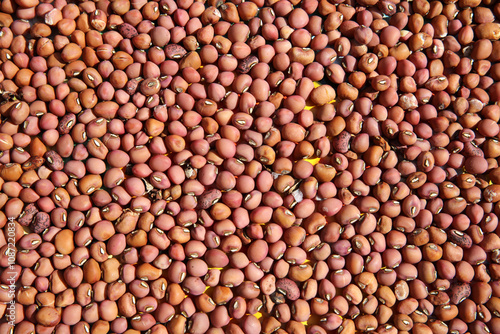 Many beans make up the background